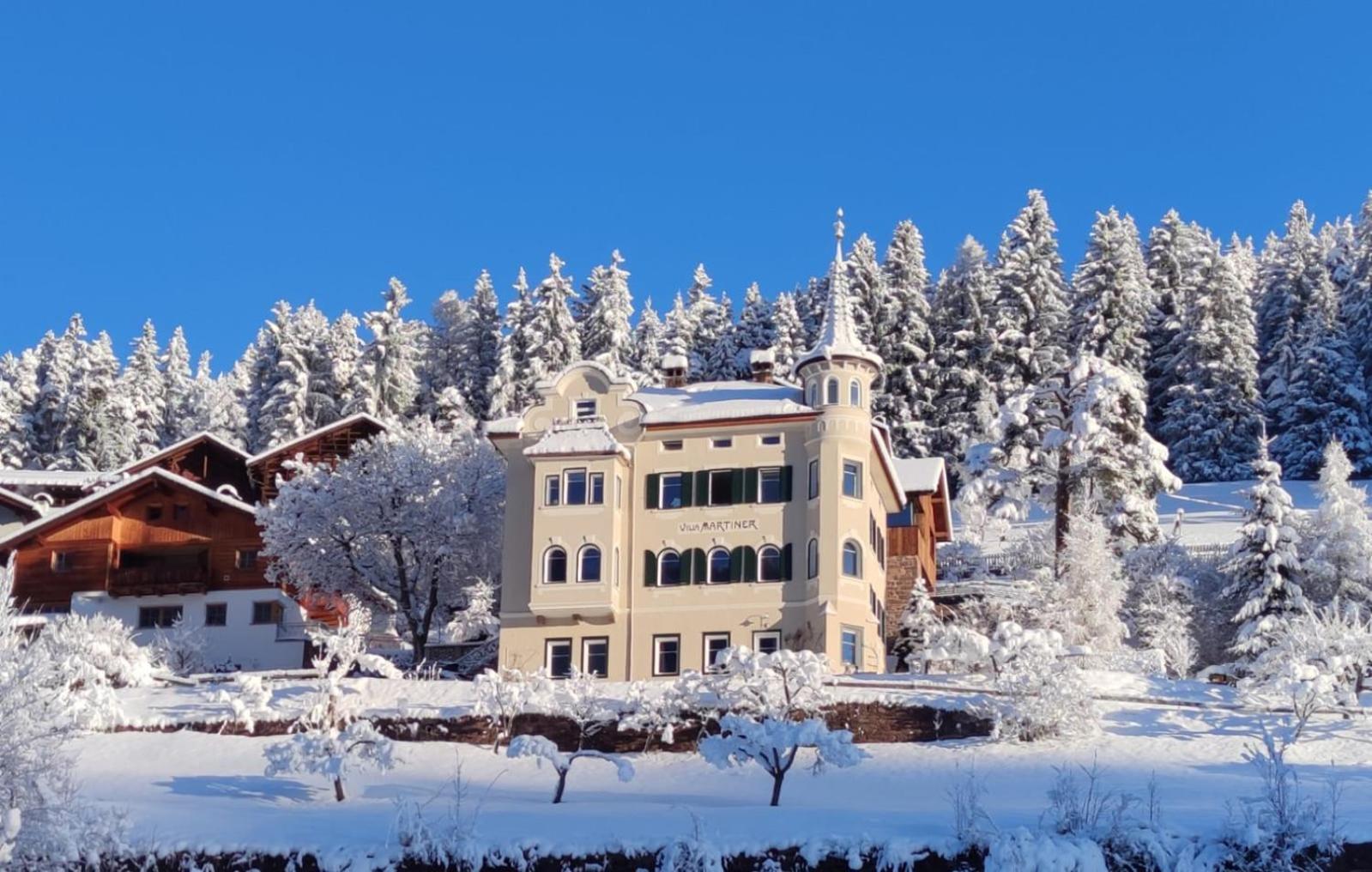Villa Martiner Apartments Francesco 奥蒂塞伊 外观 照片